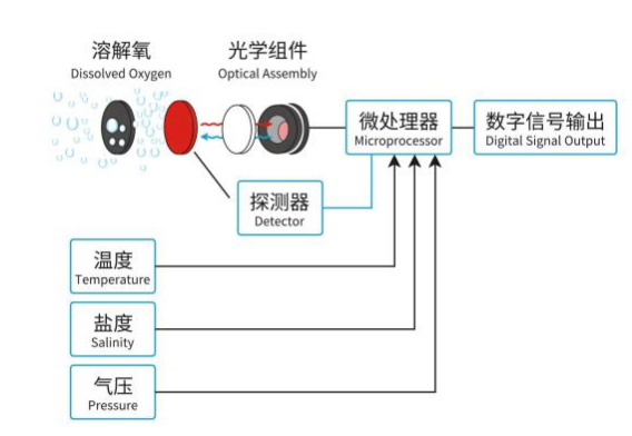 在線熒光法溶氧傳感器